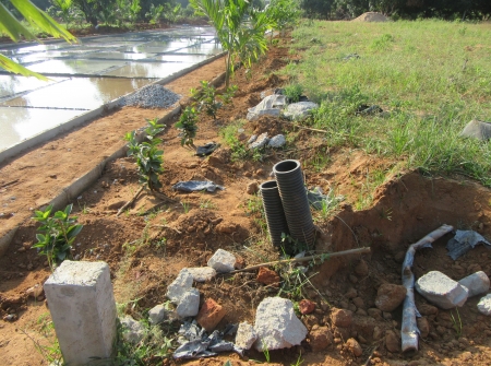 4) Li Id : 188 - Pic 5.JPG